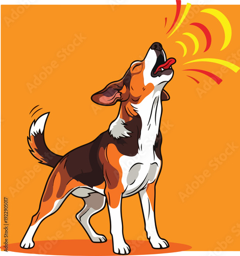 A beagle dog barking with its tongue out, orange background.