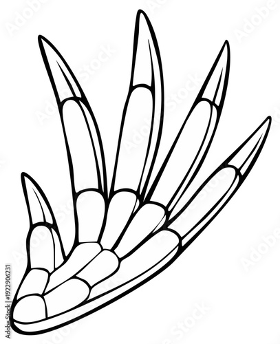 Cartoon dragon foot outline on white background, isolated. Clawed foot with scales. Reptile's paw, vector drawing illustration.
