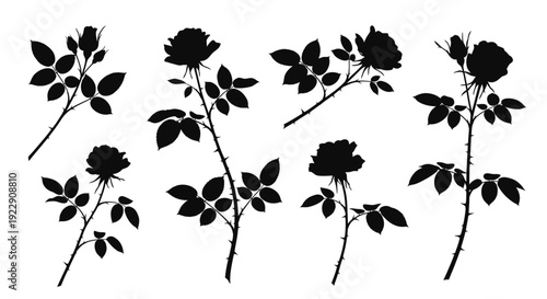 A collection of black silhouette rose blooms and stems with leaves artistically arranged against a white background high quality