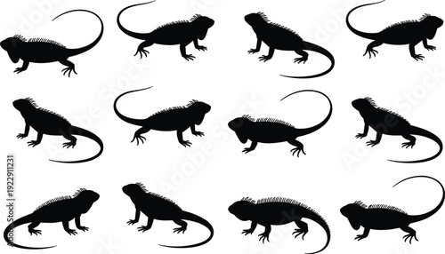 Silhouette iguanas, reptile poses, spiky ridges, tail variations, claws, lizard design, wildlife illustration, exotic animal, zoology, biology, nature concept