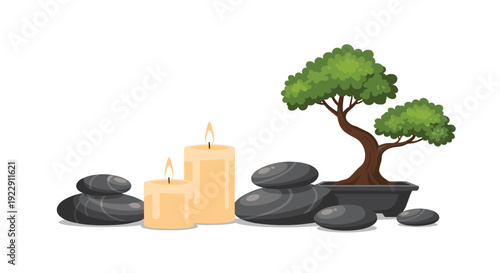 A small green bonsai tree in a dark pot is placed next to two lit cream candles and several grey stones on a white background.