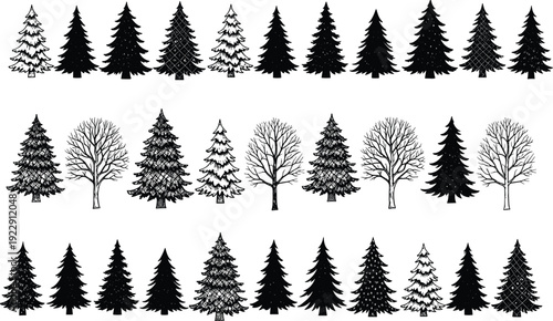 Set of black and white tree silhouettes collection, pine and deciduous forest elements isolated on white background, winter woodland clipart illustration for design, logo, and decoration