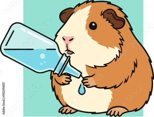Guinea pig drinking water from a bottle, cute animal illustration.