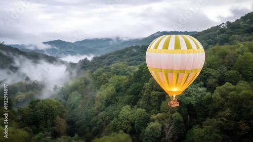 Hot air balloon flight over lush green forest and rolling hills