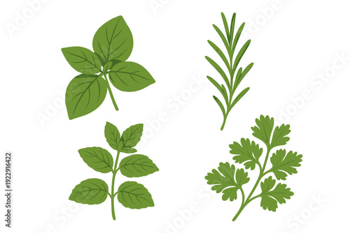 A collection of four green herb illustrations including basil, rosemary, mint, and cilantro, each with a white outline and black border, isolated on a solid black background.
