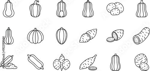 Collection of minimalist line art icons featuring various types of squash and root vegetables