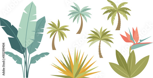 Tropical plants and palm trees on a white background in a colorful illustration style