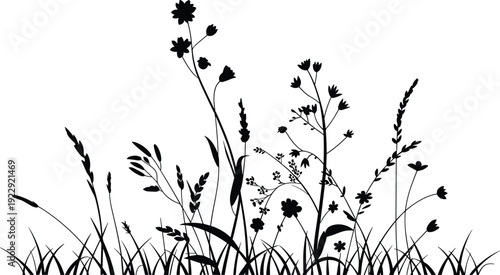 Black silhouette of wild grasses and wildflowers against a white background creating a minimalist and naturalistic artistic representation of a meadow flora