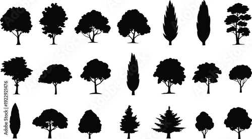 Black tree silhouette collection with various forest and garden shapes, detailed nature vector set for landscape, ecology, outdoor, and environmental design projects