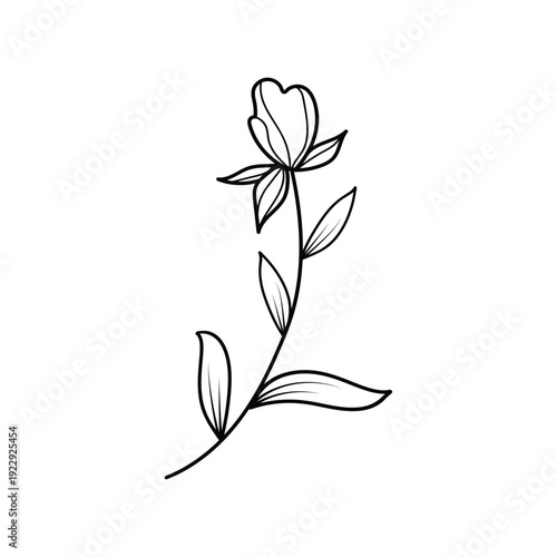 Delicate line art illustration of a single blooming flower with leaves, conveying growth, nature, and beauty.