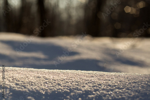 beautiful landscape of the winter trees in a park