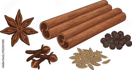Cinnamon sticks star anise cloves pepper and fennel seeds spice collection isolated on white background realistic flat vector illustration