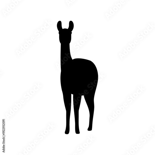 Silhouette of a llama standing against a plain background Vector, illustration