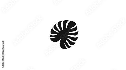 Stylized black monstera leaf silhouette on white, tropical plant vector icon, abstract botanical graphic design element illustration