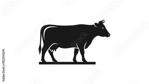 Silhouette of a Black Cow Standing