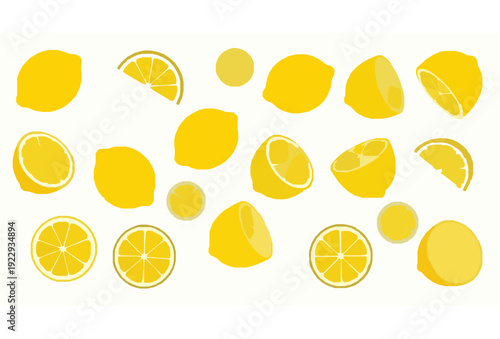 Stylized Yellow Lemon Collection Vector Citrus Fruit Set