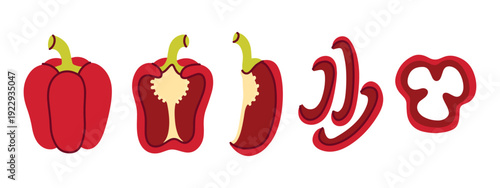 Visual sequence of a red bell pepper being processed from a whole vegetable to halves, quarters, slices, and rings. Ideal for culinary instructions and recipe guides