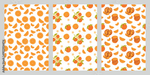 A professional set of three different seamless citrus patterns. Includes floral, sliced, and mixed orange and mandarin designs, perfect for a unified brand identity or diverse decor projects.