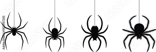 Four Black Spider Silhouettes Hanging by Threads on White Background spiders