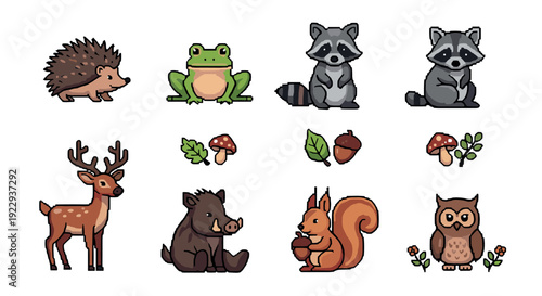 Cute woodland animals collection: cartoon forest creatures with nature elements