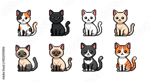 Cute pixel art cats collection with various patterns and colors