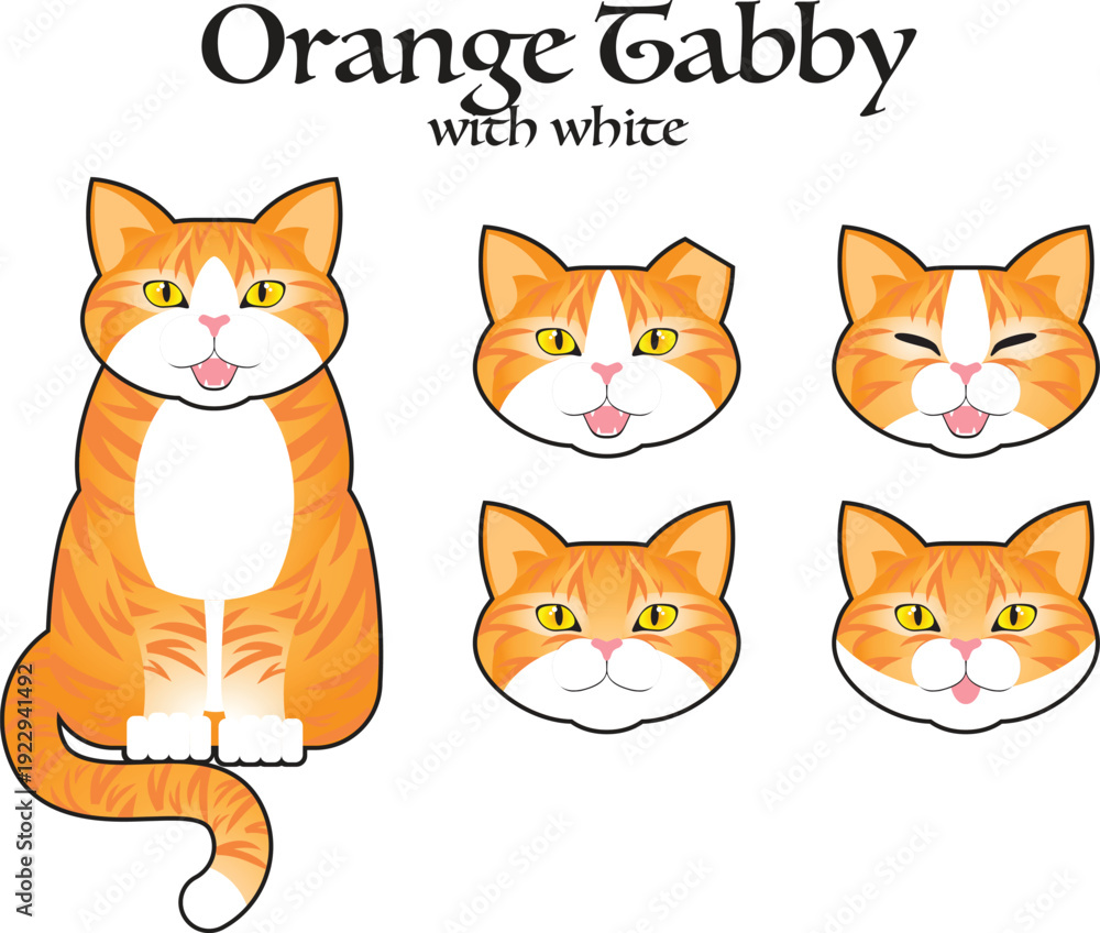Obraz premium Orange Tabby with White Cat with Optional Faces