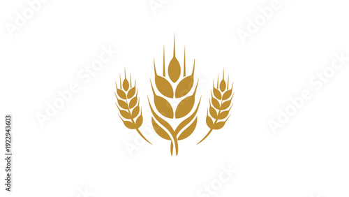 Golden Wheat Ears Symbol on White Background