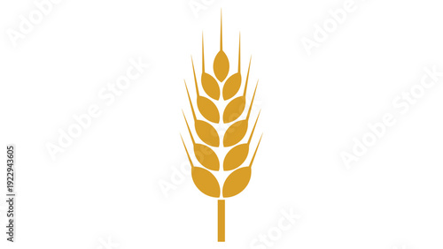 Golden Wheat Ear Icon Isolated on White Background
