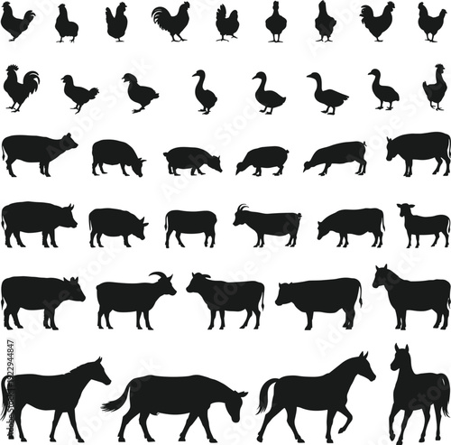 Farm animal silhouettes collection, vector livestock icons, chicken, duck, pig, cow, goat, horse, domestic animals set, black isolated shapes