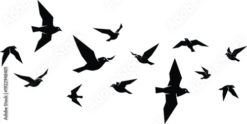Black geometric silhouette vector illustration of a flock of birds flying in various angular poses isolated on a clean white background for design.