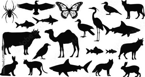Black silhouette vector collection featuring diverse animals including shark, camel, butterfly, cow, spider, birds, and domestic pets isolated on a white background for design.