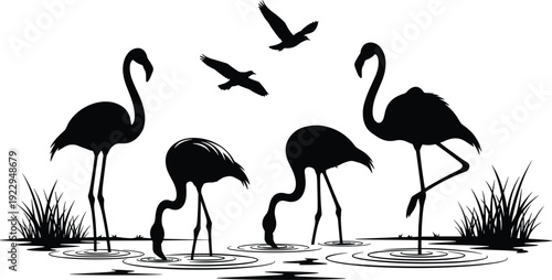 Black silhouette vector illustration of a flamingo flock wading in water with marsh grass and birds flying in sky on white background.