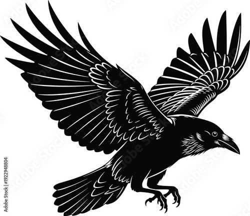 Detailed black and white vector illustration of a large crow or raven flying with wide open wings and sharp talons against white.