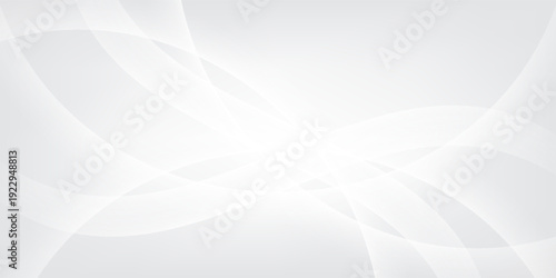 Curtain white wave soft shadow and blurred. frabic shapes curve designs. abstract backround on isolated. Vector Modern