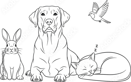 Line art vector illustration of domestic pets featuring a labrador retriever dog, a sitting rabbit, a sleeping cat, and a flying bird.