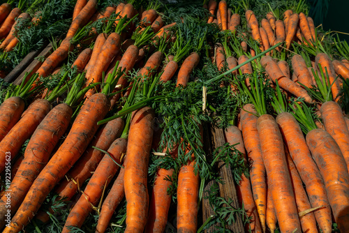 Fresh, vibrant orange carrots with bits of green tops still attached, arranged in neat rows in wooden crates at a farmers market