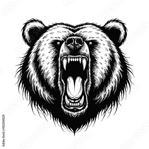 A close-up illustration of a bear's face with its mouth open, showcasing sharp teeth and a fierce expression from a front viewpoint