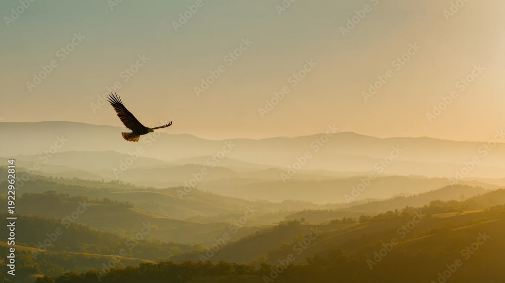 Naklejka premium Majestic eagle soaring over misty mountain landscape at sunrise