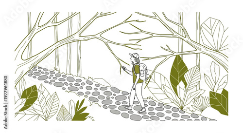 Woman hiking on a forest path, surrounded by trees and leaves. Line art style.