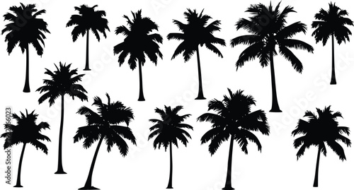 Tropical Palm Tree Silhouettes - Summer Beach Vector Elements