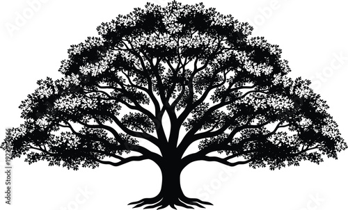 Large tree silhouette with wide canopy and branches, natural forest element, decorative black minimal flat vector illustration isolated