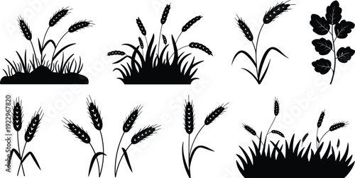 wheat, cereal, grass, crop, silhouette, agriculture, grain, farm, plant, harvest, leaf, black, isolated, nature, barley, wheat silhouette, cereal crop, grass silhouette, farm ctor illustration