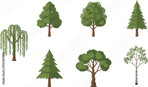 Set of different green trees including willow pine oak birch, forest nature elements, minimal flat vector illustration collection