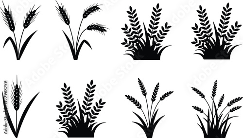 Wheat and leafy plant silhouettes set, black agricultural cereal and botanical elements isolated on white background for farming design