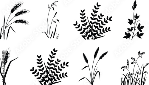 Wheat, grass and leafy bush silhouettes collection, black agricultural and botanical plants isolated on white background for farming design