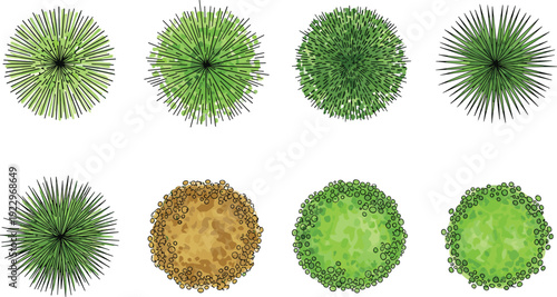 Top view garden bushes and shrubs set, round green foliage collection, landscape design elements, minimal flat vector illustration