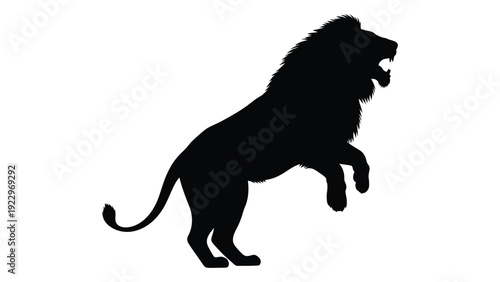 A striking silhouette of a male lion with a full mane roaring powerfully