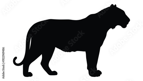 A stark silhouette of a majestic tiger standing in profile against a white background
