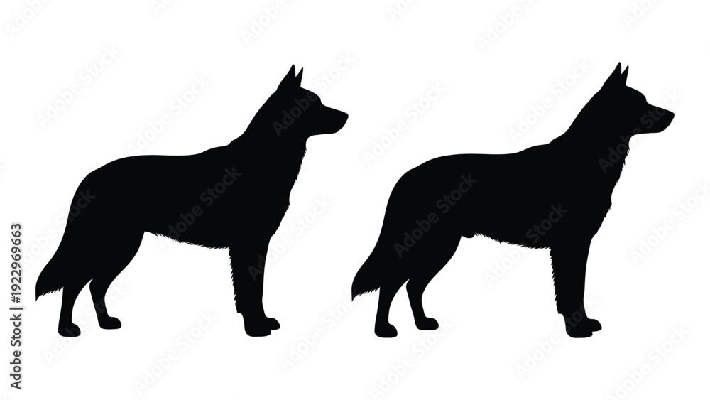 Αυτοκόλλητο Two german shepherd silhouettes are shown in a side profile view against a white