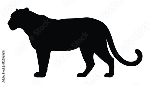 A striking silhouette of a panther showcasing its elegant form and powerful build